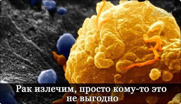 РАК – ЭТО ГРИБКОВОЕ ЗАБОЛЕВАНИЕ… И ОНО ИЗЛЕЧИМО Рак – излечимая грибковая инфекция. Очень похоже на то, что медицинская мафия использует слово «рак», как обманку для последующего массового