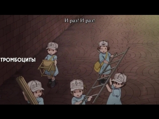Жожо референс