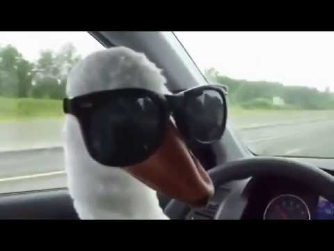 ХайпNews