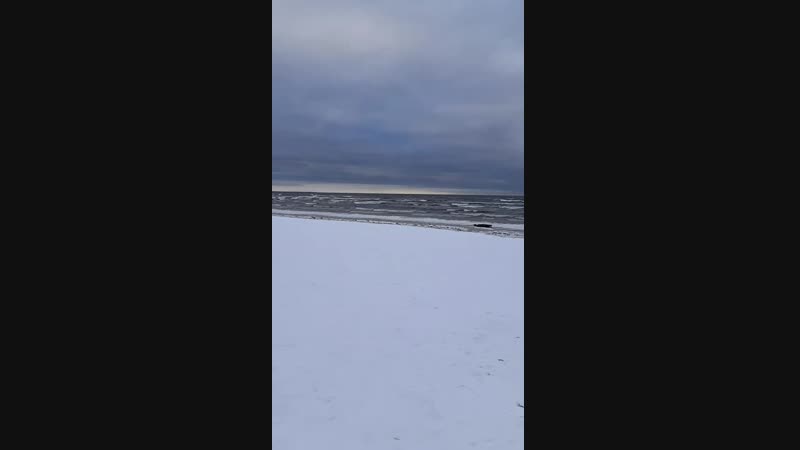 20190115_174931.mp4