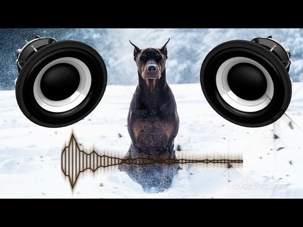 ZHU - JET, THE DOBERMAN (BassBOOST)