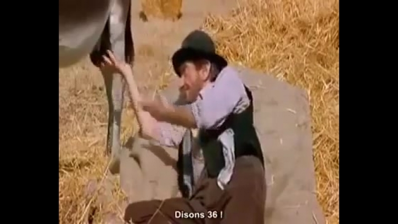 Scusi buon uomo mi sa dire lora
