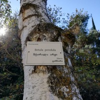 Евгений Крупенин