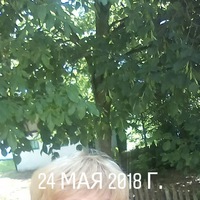 Олеся Корчагина | 