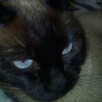 Мария Сидорова | Санкт-Петербург