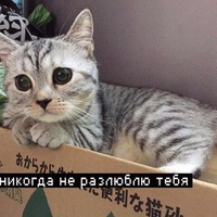 Александр Холодов | Москва