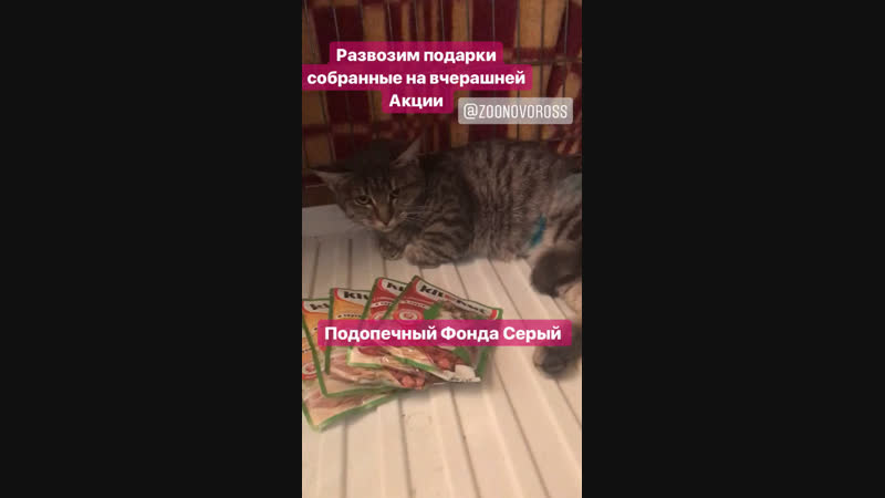 Развоз подарков с Акции 04.11.2018