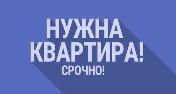 Срочно! г.Люберцы!!! Нужна 3х комнатная квартира, 4-ре спальных места, стиральная машинка , посуда и постельное белье. Желательно недалеко от ж/д станции <br>Панки Казанского направления. Квартира для сотрудников крупной компании 4 мужчины,чистоплотные , воспитанные славяне. <br>контакты: Юрий +79685341648 - фото Фото: Срочно! г.Люберцы!!! Нужна 3х комнатная квартира, 4-ре спальных места, стиральная машинка , посуда и постельное белье. Желательно недалеко от ж/д станции <br>Панки Казанского направления. Квартира для сотрудников крупной компании 4 мужчины,чистоплотные , воспитанные славяне. <br>контакты: Юрий +79685341648