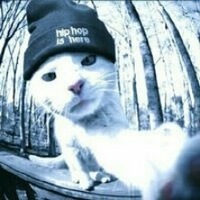 Витя Котов | Барановичи