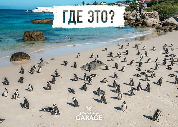 Chilling around the world. В Антарктиде холодно и нет Garage, поэтому все тусовые пингвины отправляются именно сюда. Угадаете, где этот пляж 