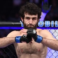 Дмитрий Лесников |