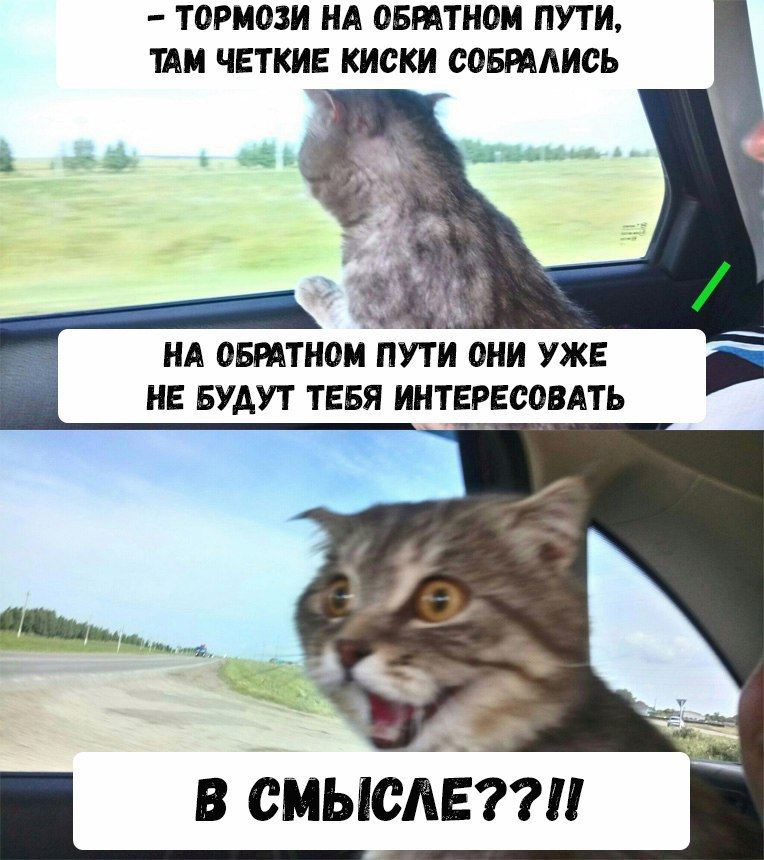 8RP9o8hf-j8.jpg