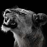 Юлия Коваленок |