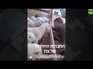 La soldatesque youpine batifole et fait la fête sur les réseaux sociaux alors que les Palestiniens meurent