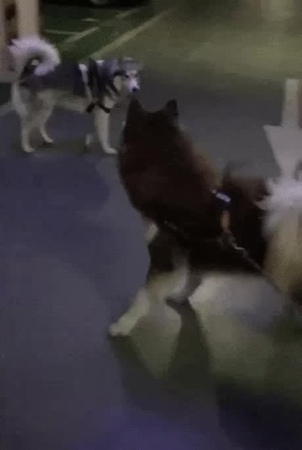 Dont do that, its not worth it.