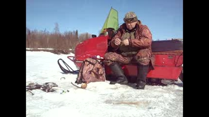 мыки ельцы.