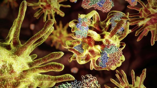 В лаборатории впервые синтезировали искусственные прионы