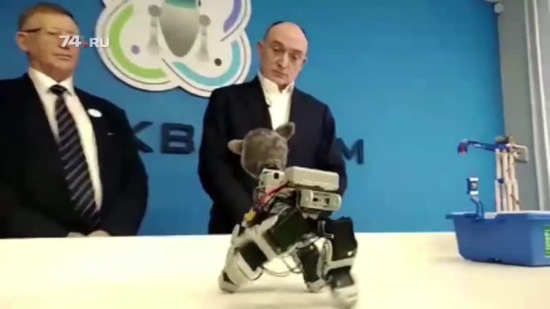 2_5228980639721587571.mp4