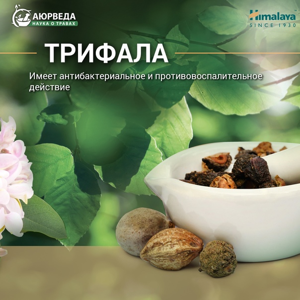 Аюрведа Кемерово Интернет Магазин
