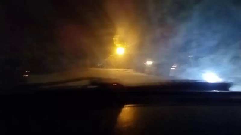 пижма