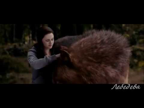 Сумерки. Клип. Против шерсти.