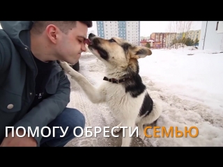 Ищем любящую семью для Тузика.❤