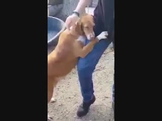 Счастливое воссоединение