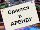 Объявление от Marina - фото №1