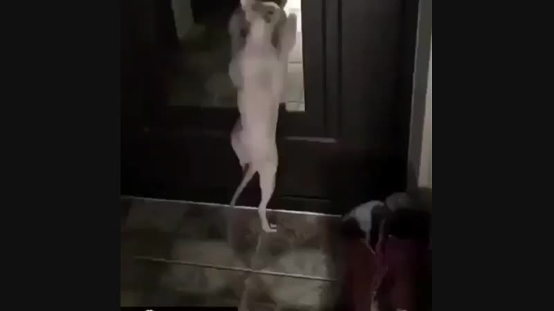 массовка 😂