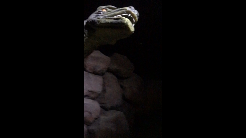 🦖🦕🐍