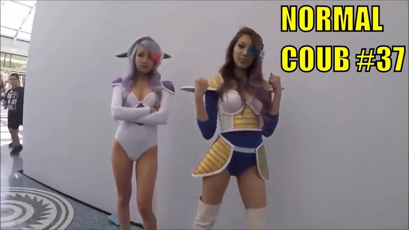 Normal Coub Best Coub Compilation 37