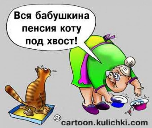 Прикольные картинки с надписью про пенсию, природа сибири