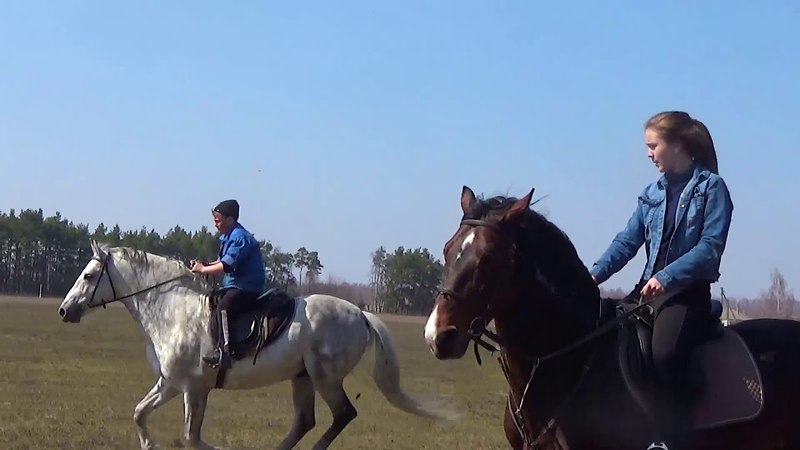 Малыш Банкир и Набат 15.04 2018г.