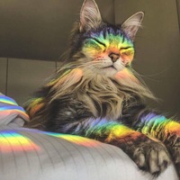 Татьяна Вольф