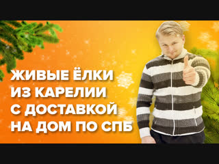 Живая ёлочка в Ваш дом. Доставка по СПБ и ЛО.