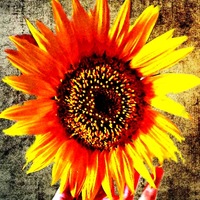 Мария Удовик