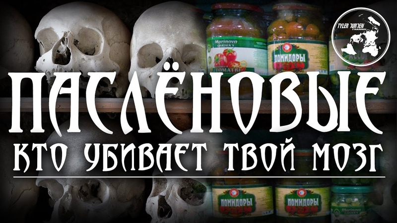 🍅ПАСЛЁНОВЫЕ🍅 Кто убивает твой мозг☠️