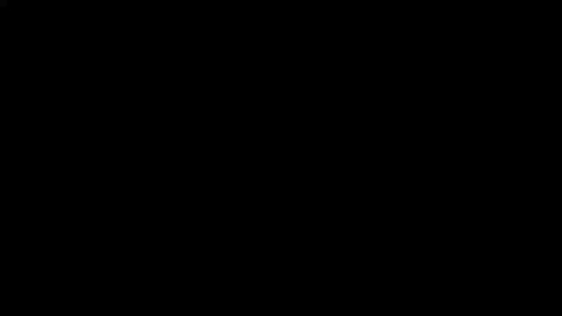 1553363480743.mp4