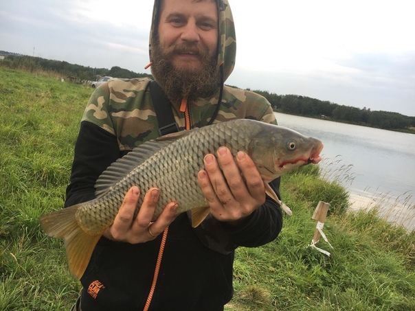 Рыбалка — озеро Кипенское, Ленинградская область, 59.689, 29.869