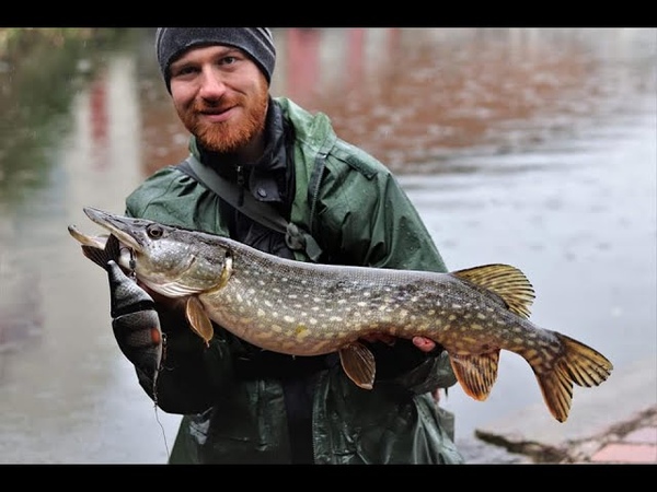 BIG Swimbait Gets DESTROYED by Pike