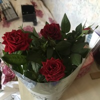 Даша Васильева | Москва