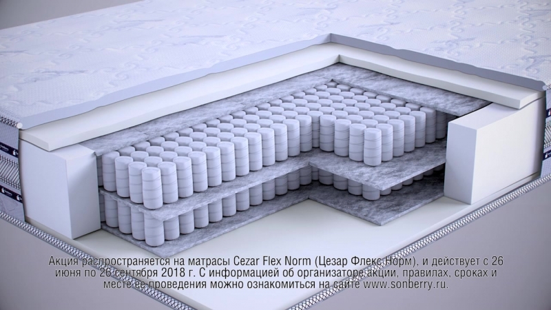 Sonberry Cezar Flex Norm