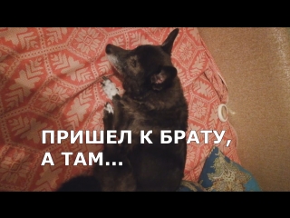Трактор, малина и братишка. | Let's live