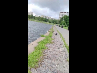 MOV_20180708_1548160.mp4