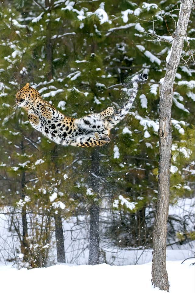 Похоже, что СДВГ. - Страница 39 HvV-NGvhGPY