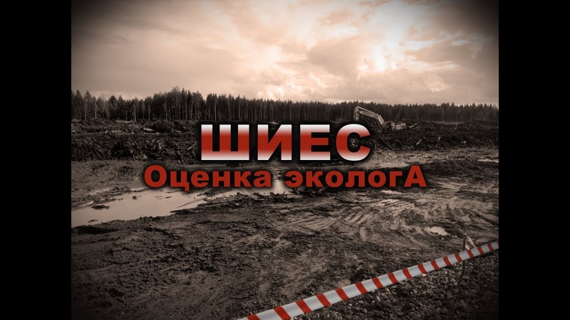 Шиес оценка эколога.