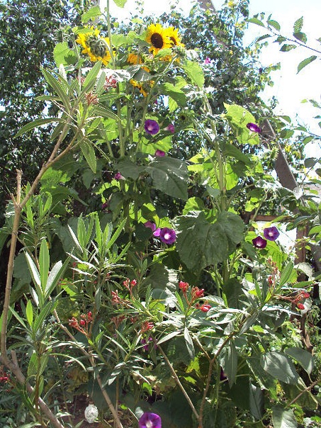 фотография из вКонтакте