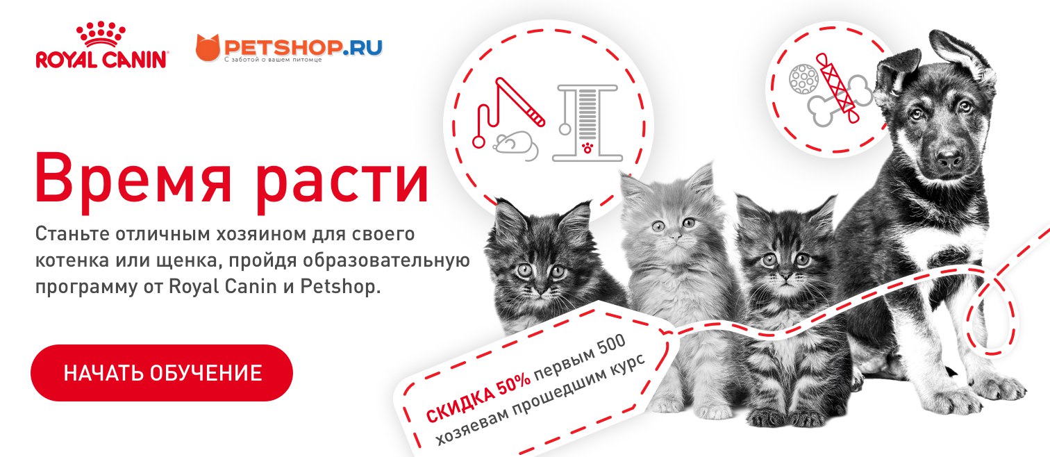 Petshop Ru Интернет Магазин Великий Новгород
