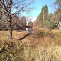 Татьяна Булыгина | Нижний Новгород