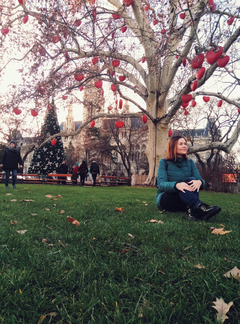 Рождественско-новогодний трип Германия-Австрия-Венгрия Рождественско-новогодний трип Германия-Австрия-Венгрия